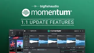 Momentum 1.1 Update Features