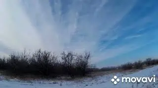Охота с Эстонским Г.\Заяц в последний день отпуска