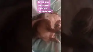 34.Кнопа 🐶 и разминка 🤸‍♂️