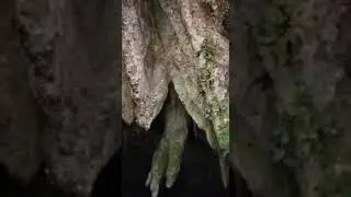 A mysterious cave found at Parsi Parlo.