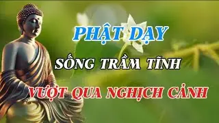 SỐNG TRẦM TĨNH GIỮA SÓNG GIÓ: LỜI PHẬT DẠY GIÚP VƯỢT QUA MỌI NGHỊCH CẢNH CUỘC ĐỜI|Chính Niệm Soi Tâm