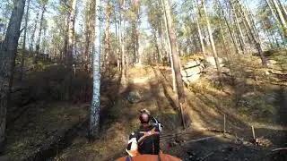 Кобылья голова)