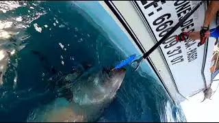 PESCA DE ATUN ROJO CON THE TATTOO FISHER Y MAXPESCA 2021