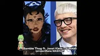 Bambie Thug ft. Joost Klein - TSUNAMI (projectRene MASHUP)