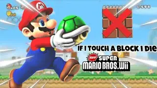 New Super Mario Bros Wii, But if I touch a block the video ends!!