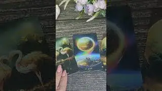 КАРТА ДНЯ 23/01 #таросегодня