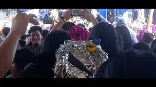 los korucos amor sincero pelucas fest