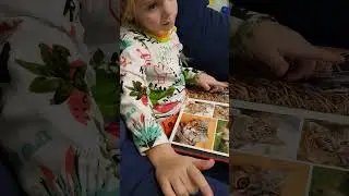 Агнесса 4 года и 11 месяцев, аутизм
