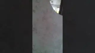 16 августа 2022 г.