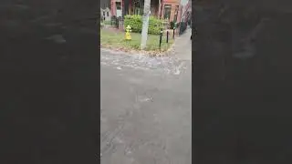 First snowfall of the year for Toronto!