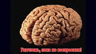 Эпилог. Конечная инстанция жизни. Дэнт все понял.