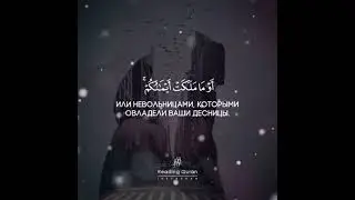 Коран
Сура 4 «Женщины», аят 3.
Чтец: Са'ад аль-Г'амиди