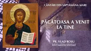 Sedelna Păcătoasa a venit la Tine - Vlad Roșu