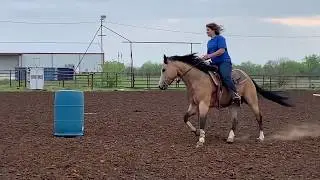 Sassy 4/22/19 loping through