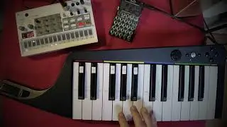 A Different Kind of Big Up Volca Sample style - Moschops