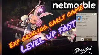 Blade & Soul Revolution - Leveling Guide
