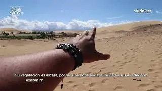 Médanos de Coro, Estado Falcón - Venezuela