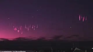 Spring sprites | 2020