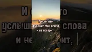 8 февраля 2024 г.