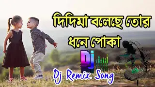 didima boleche tor dhone poka bengali dj song