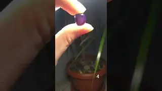 Помогите определить камни минералы
