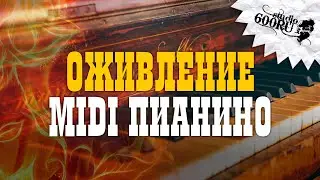 Оживление MIDI ПИАНИНО / Studio600ru
