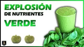 ✔️ CÓMO dar VERDURA a un PERRO 🍏