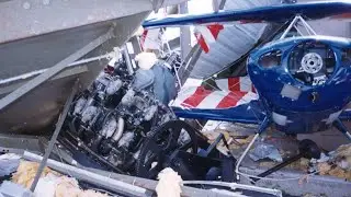 The 