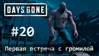 Days Gone (Жизнь После): часть 20 - Первая встреча с громилой (прохождение)