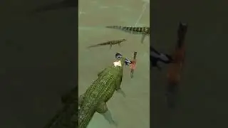 wildcraft