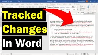 How To Track Changes in Word (& Add Comments!)