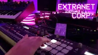 Neontenic - Extranet Corp.