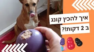 איך מכינים קונג לכלב?!