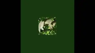 E'banko - Ландыши (speed up)