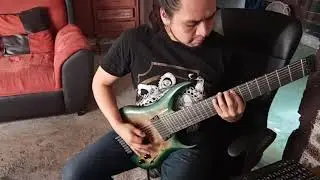 Muestra de guitarra 8 cuerdas Legator GHOST!!!