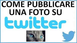 come pubblicare una foto su twitter da pc | come postare una foto con un tweet