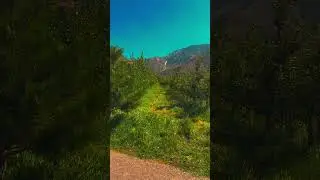 Ақсу Жабағалы