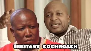 Kenny Kunene still insists on calling Julius Malema a cockroach!!