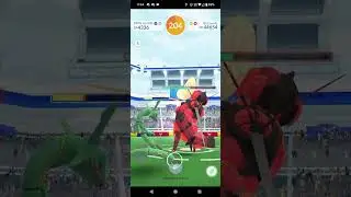 Buzzswole Solo in Windy