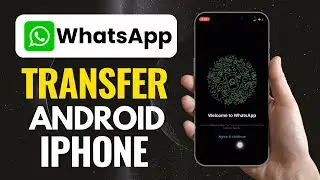 Transfer WhatsApp from Android to iPhone 2024 [Official Free Method]