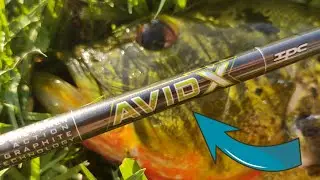 Testing and Reviewing the St. Croix Avid X
