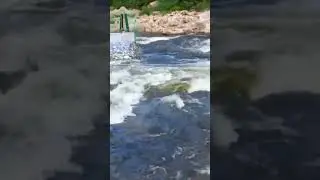 Аэролодка ЛАНИ Аллигатор с мотором 30 л.с.по перекатам. Спасибо Александру за это видео🤝