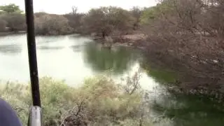 African Safari