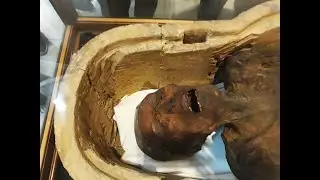 EGYPT TRAVEL VLOG PT 2