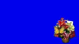 green screen butterfly- футаж№4 Бабочки и цветы ( HD1080)