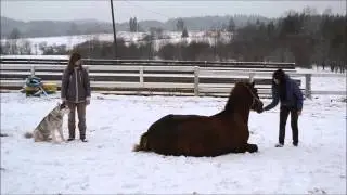 ГАПОУ РК Сортавальский колледж  То, чем мы живем