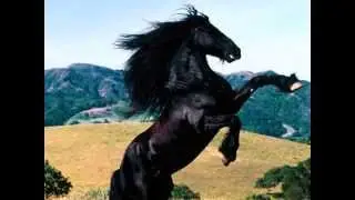 Mal - Furia (Cavallo Del West)
