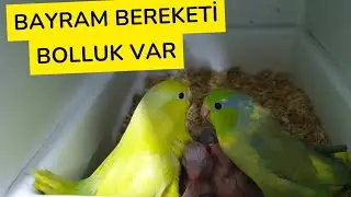 ÜRETİMHANEDE BAYRAM GEÇİRDİK