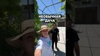 Необычная зимняя дача в Бухаре +998 33 621 0707