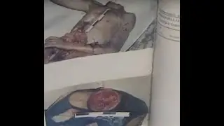 Сергей Головкин маньяк фишер(16+ )документальная хроника